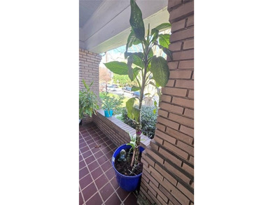 PROFESSIONAL PICTURES FORTHCOMING!!!!!!!!!! Catch this jewel