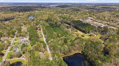 Rare Lowcountry Legacy Listing | Over 14 Acres on May River Road - photo 16