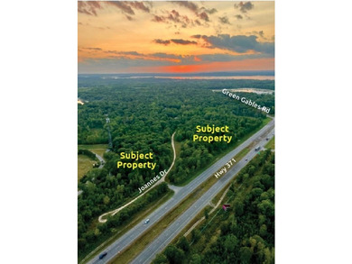 Excellent opportunity to purchase commercial land located along - photo 2