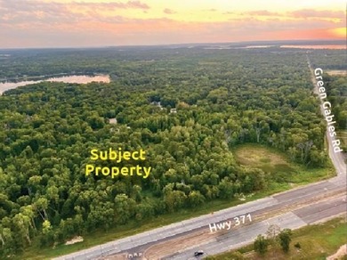 Excellent opportunity to purchase commercial land located along - photo 4