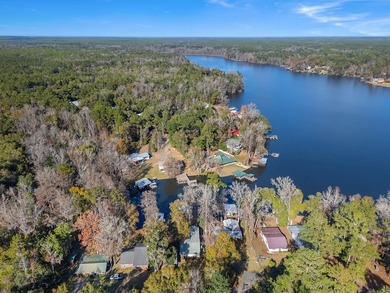 (One or more photos has been virtually staged) Lakefront Living - photo 36