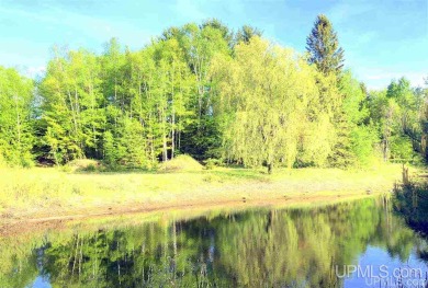 (private lake, pond, creek) Acreage For Sale in Update Michigan
