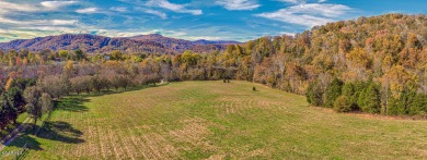 Lake Lot Off Market in Rocky Top, Tennessee