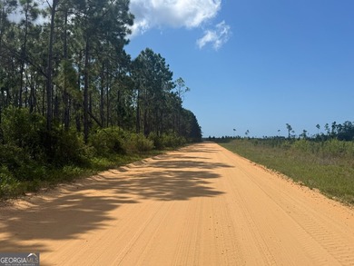 Welcome to 32 high & dry acres along Allanton Rd, Panama City - photo 11