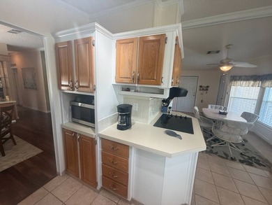 This well cared for 2-bedroom, 2 bathrooms Palm Harbor home - photo 11