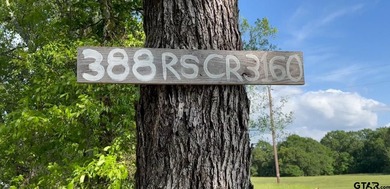 If you have dreamed of buying a perfect sized rural property to - photo 12