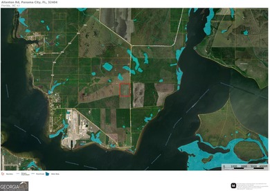 Welcome to 32 high & dry acres along Allanton Rd, Panama City - photo 13