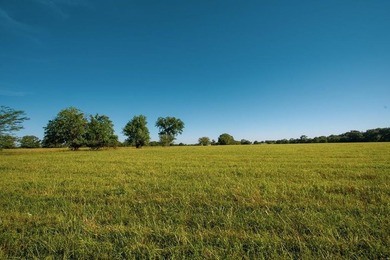 Prime 144 acre property in Pleasanton, KS. Less than an hour - photo 14