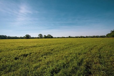 Prime 144 acre property in Pleasanton, KS. Less than an hour - photo 16