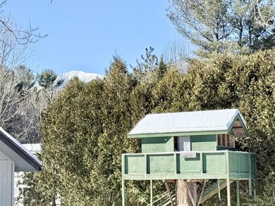 Nice ranch-style home on a .34-acre corner lot in the Town of - photo 18