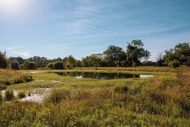 Prime 144 acre property in Pleasanton, KS. Less than an hour - photo 21