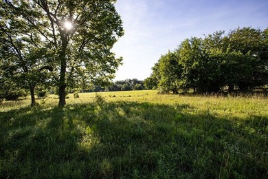 Prime 144 acre property in Pleasanton, KS. Less than an hour - photo 23