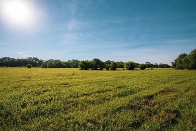 Prime 144 acre property in Pleasanton, KS. Less than an hour - photo 24