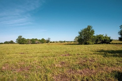 Prime 144 acre property in Pleasanton, KS. Less than an hour - photo 29