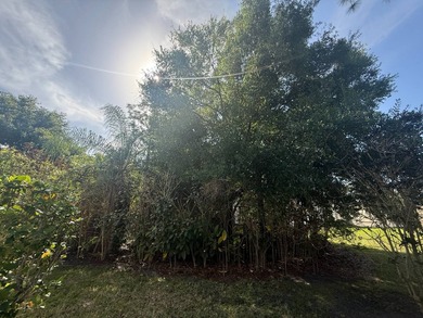 This well cared for 2-bedroom, 2 bathrooms Palm Harbor home - photo 37