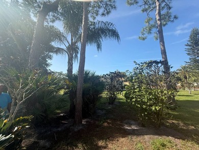 This well cared for 2-bedroom, 2 bathrooms Palm Harbor home - photo 42