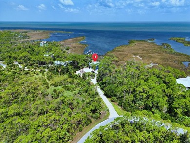 Welcome to your coastal escape on St. George Island! Located in - photo 42