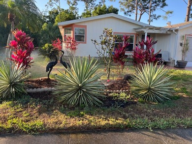 This well cared for 2-bedroom, 2 bathrooms Palm Harbor home - photo 44