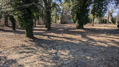 A rare find, 3.89-+ acre lot in historic Accomac, one of the - photo 2