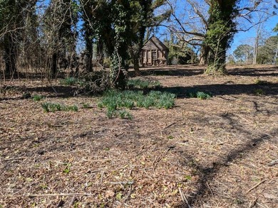A rare find, 3.89-+ acre lot in historic Accomac, one of the - photo 6