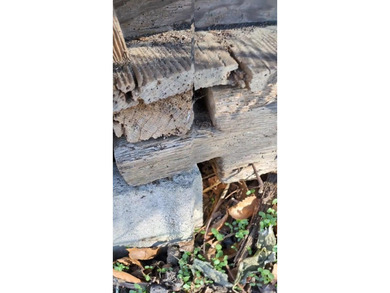 A rare find, 3.89-+ acre lot in historic Accomac, one of the - photo 8