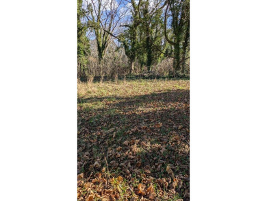 A rare find, 3.89-+ acre lot in historic Accomac, one of the - photo 9