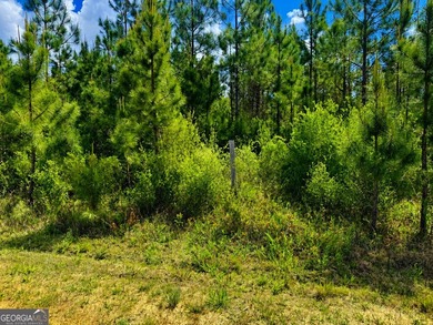 Welcome to 10.6 high & dry acres along Allanton Rd, Panama City - photo 12