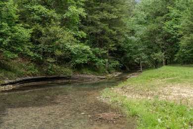 Discover your own private retreat on 70+/- stunning acres - photo 14