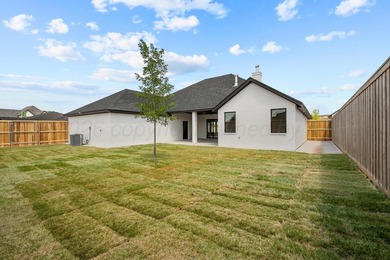 Welcome to 1209 Herring Ranch Road, a stunning custom home by - photo 9