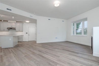 Fantastic 55+ new construction in Skinker DeBaliviere. Project