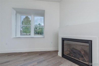 Fantastic 55+ new construction in Skinker DeBaliviere. Project