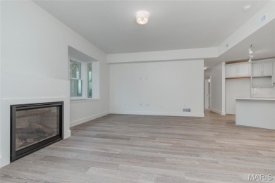 Fantastic 55+ new construction in Skinker DeBaliviere. Project