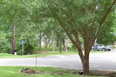 Enjoy the perfect blend of lake life, spacious yard and private - photo 33