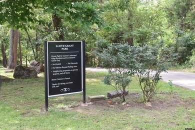 Enjoy the perfect blend of lake life, spacious yard and private - photo 34