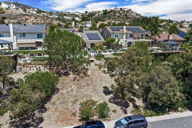 Experience elevated single-level living in this beautifully - photo 34