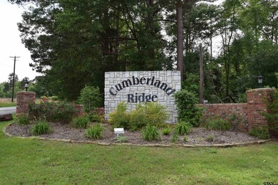 Enjoy the perfect blend of lake life, spacious yard and private - photo 36