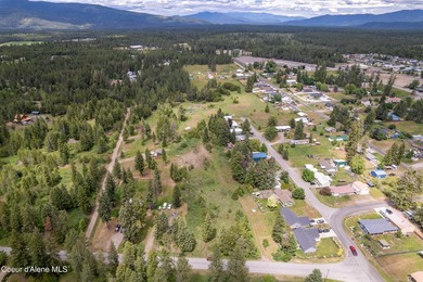 Development Opportunity - Multiple lot potential - Large lot in - photo 1