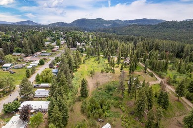 Development Opportunity - Multiple lot potential - Large lot in - photo 4