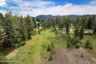 Development Opportunity - Multiple lot potential - Large lot in - photo 5