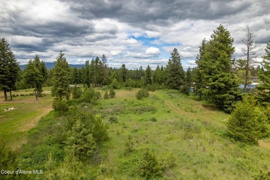 Development Opportunity - Multiple lot potential - Large lot in - photo 6