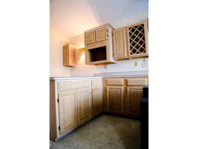 Experience stunning views of Lake Bruce from both the main level - photo 14