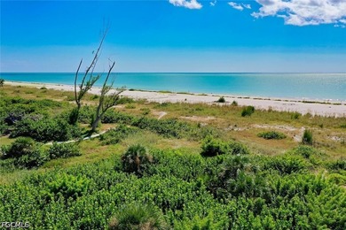 An exceptional opportunity to create your vision of a beach home - photo 23