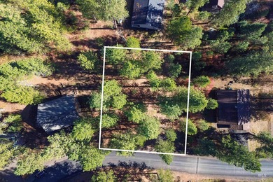 Lake Lot For Sale in New Meadows, Idaho