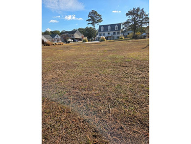WOW!! Just listed large beautiful corner lot with Mallard Pond - photo 5