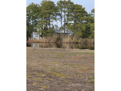 WOW!! Just listed large beautiful corner lot with Mallard Pond - photo 7