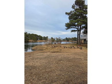 WOW!! Just listed large beautiful corner lot with Mallard Pond - photo 10