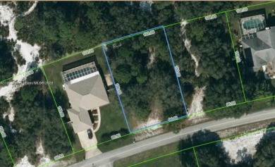 Lake Lot For Sale in Sebring, Florida