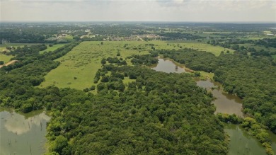 Lake Ray Roberts Acreage For Sale in Pilot Point Texas
