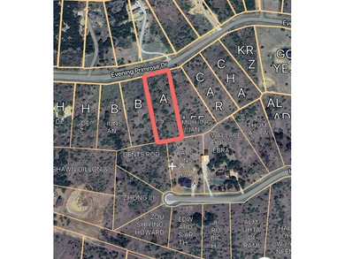 Level lot with trees and room to build. Lot ownership includes - photo 2