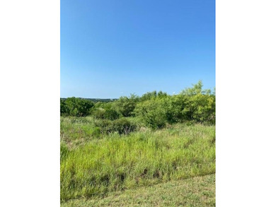 Level lot with trees and room to build. Lot ownership includes - photo 3